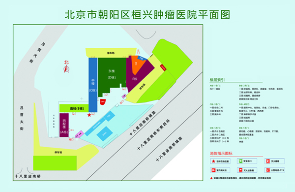 入屄视频网站北京市朝阳区桓兴肿瘤医院平面图